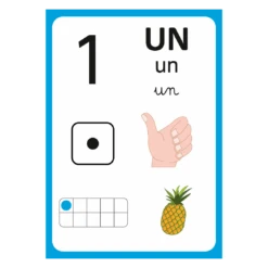 Tam Tam 1 2 3 - Je Découvre Les Nombres - Le Coffret - Ab Ludis Editions -Les Amis Ludiques Soldes ab ludis editions tam tam 1 2 3 je decouvre les nombres le coffret 9782381370019 3