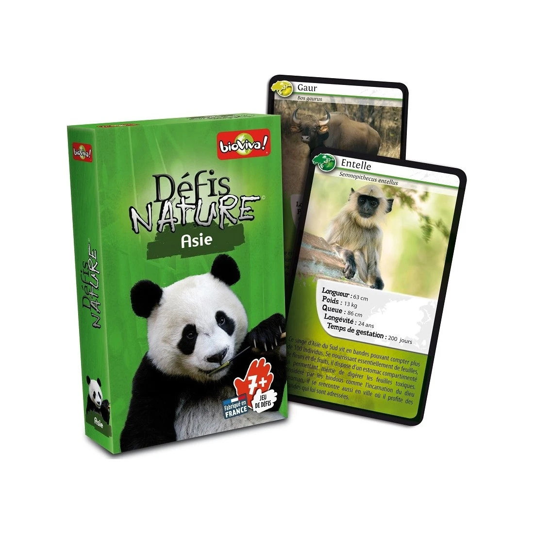 Défis Nature - Asie - Bioviva 4 Défis Nature - Asie - Bioviva – Image 2