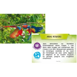 Bioviva Planète - Jungles Et Forêts -Les Amis Ludiques Soldes bioviva editions bioviva planete jungles et forets 3569160201001 3