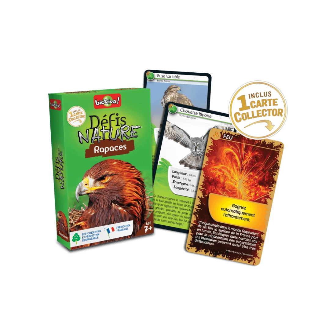 Défis Nature - Rapaces - Bioviva Editions 4 Défis Nature - Rapaces - Bioviva Editions – Image 2