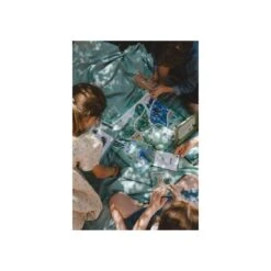 L'Enquête Par Courrier - Nature Et Insectes - En Cavale 40 L'Enquête Par Courrier - Nature Et Insectes - En Cavale -Les Amis Ludiques Soldes en cavale l enquete par courrier nature et insectes 9782958460532 18