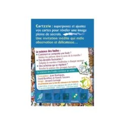 Cartzzle - Foules - Jeux Opla -Les Amis Ludiques Soldes jeux opla cartzzle foules 745178952293 6