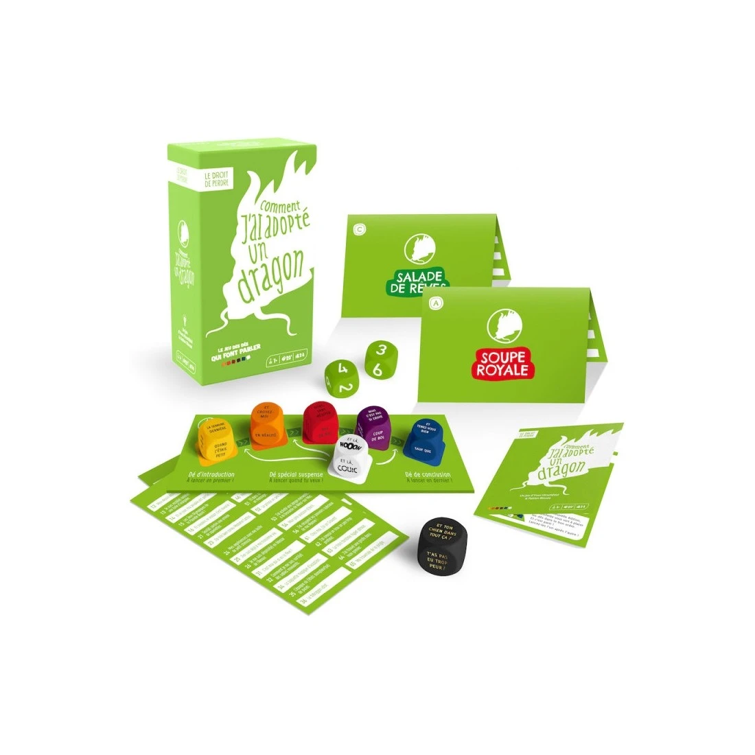 Comment J'ai Adopté Un Dragon - Nouveau Format - Ledroitdeperdre.com 6 Comment J'ai Adopté Un Dragon - Nouveau Format - Ledroitdeperdre.com – Image 4