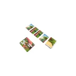 Detecteam Family - Un Oeuf De Trop - Lifestyle -Les Amis Ludiques Soldes lifestyle detecteam family un oeuf de trop 4650000323539 2