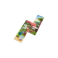 Detecteam Family - Un Oeuf De Trop - Lifestyle -Les Amis Ludiques Soldes lifestyle detecteam family un oeuf de trop 4650000323539 6