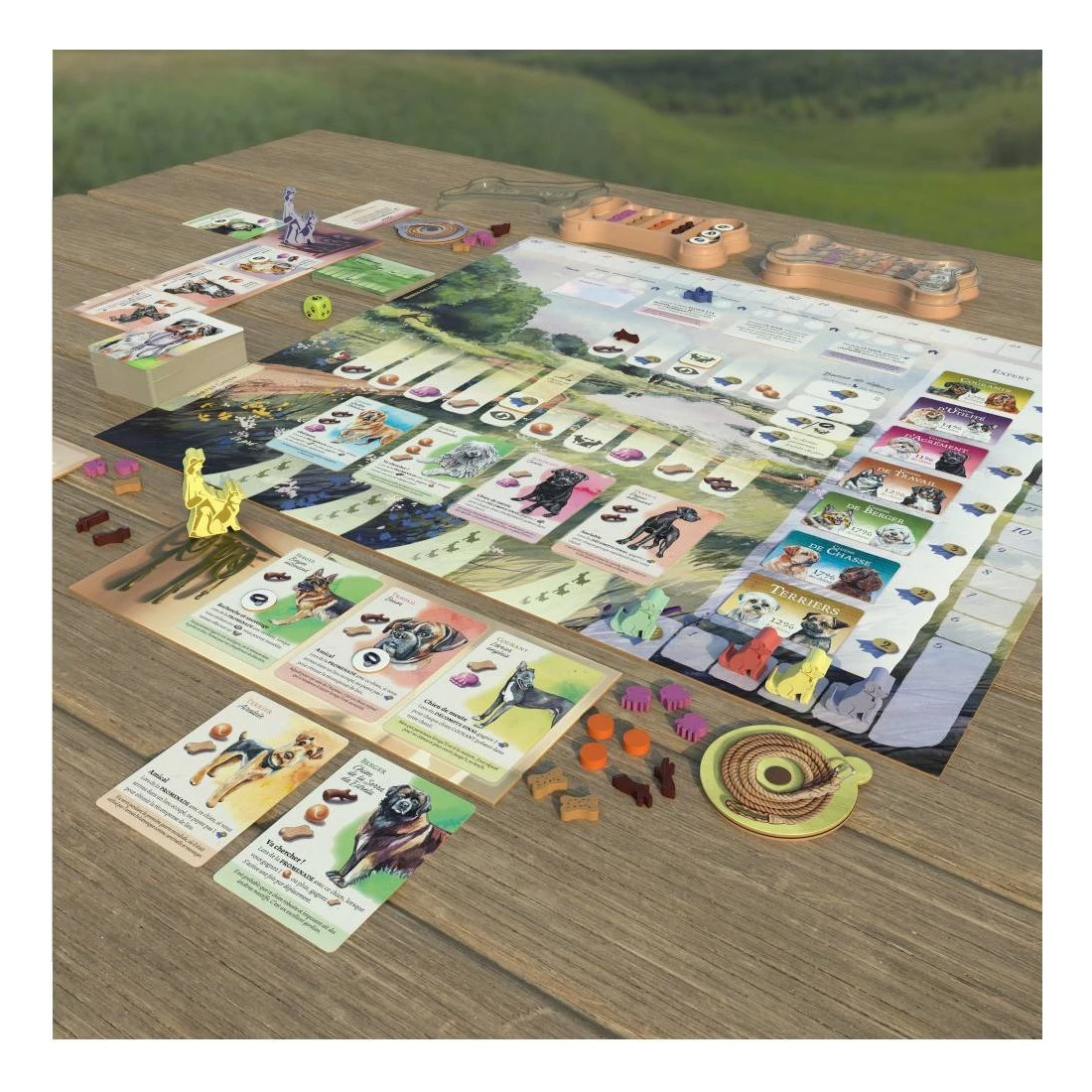 Dog Park - Lucky Duck Games 4 Dog Park - Lucky Duck Games – Image 2