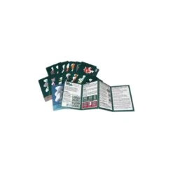 L'île Des Prédateurs - Micro Game - Matagot -Les Amis Ludiques Soldes matagot l ile des predateurs micro game 3760146649781 4