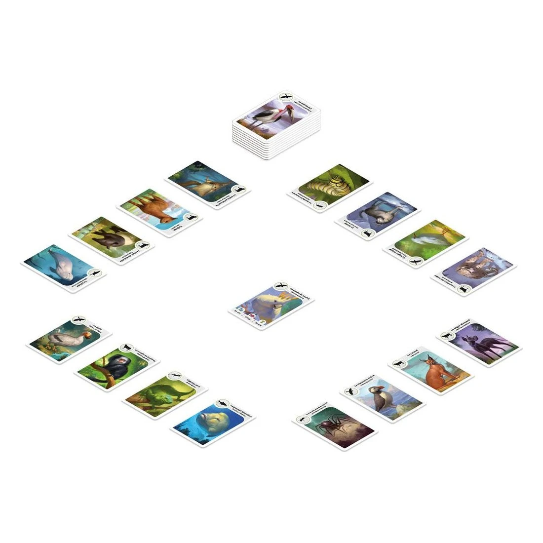 Cardline : Animaux 2 - Refresh - Monolith 4 Cardline : Animaux 2 - Refresh - Monolith – Image 2