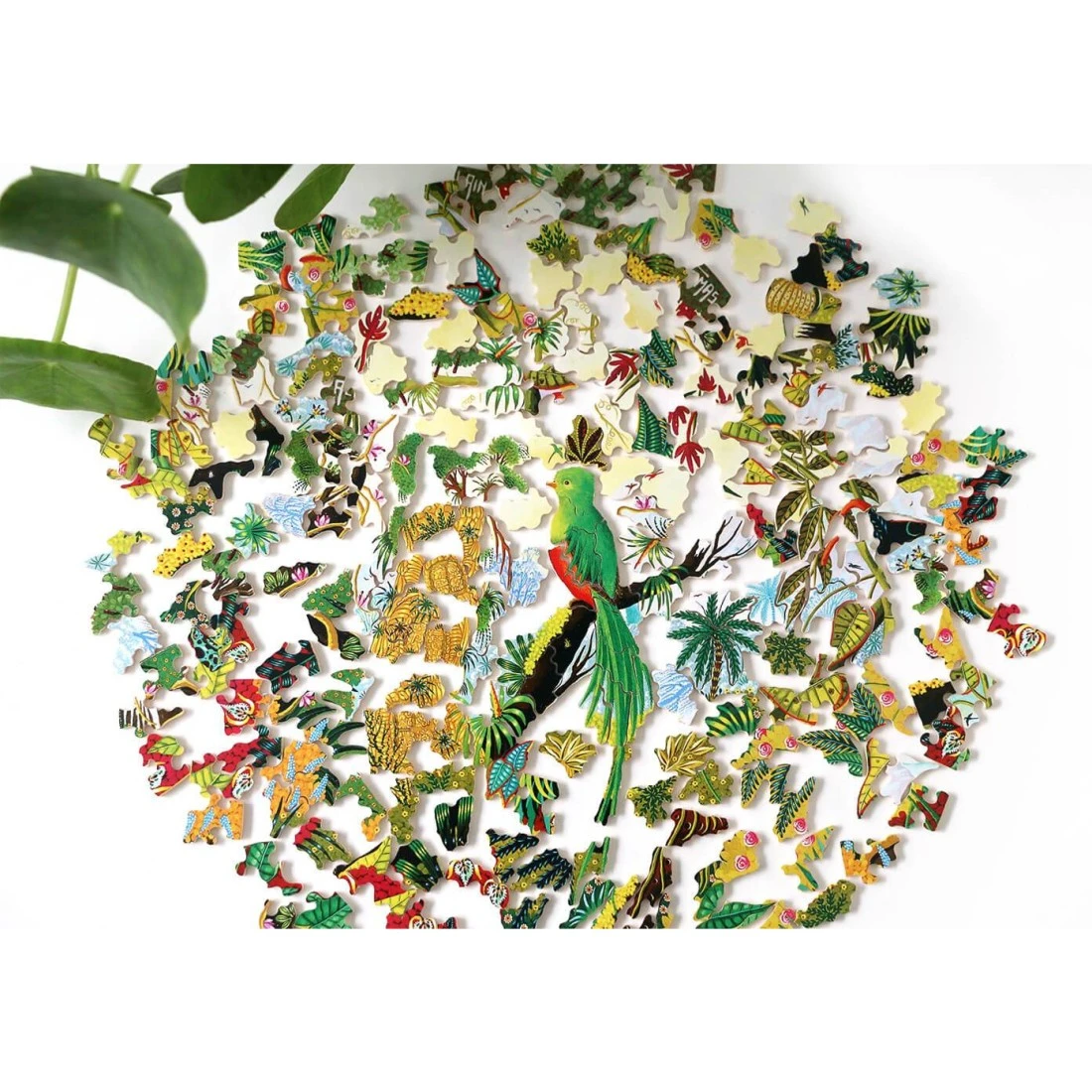 Puzzle - Alain Thomas - Quetzal Resplendissant - 250 Pièces - Puzzle Michèle Wilson 5 Puzzle - Alain Thomas - Quetzal Resplendissant - 250 Pièces - Puzzle Michèle Wilson – Image 3