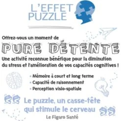 Puzzle Art Collection - Paul Klee - Château Et Soleil - 300 Pièces - Ravensburger -Les Amis Ludiques Soldes ravensburger puzzle art collection paul klee chateau et soleil 300 pieces 4005556148448 2