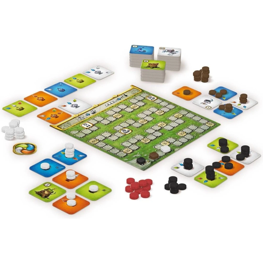 Jeu Sagani - Skellig Games 4 Jeu Sagani - Skellig Games – Image 2