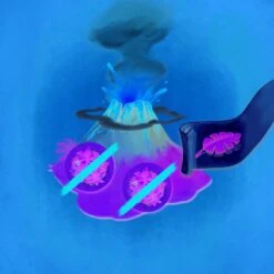 Jeu Jurassik Snack - The Flying Games -Les Amis Ludiques Soldes the flying games jeu jurassik snack 3770005902032 3